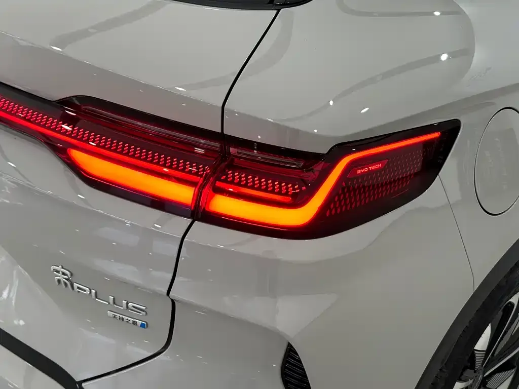 BYD PLUS New Energy 2025 из CN, фото 4