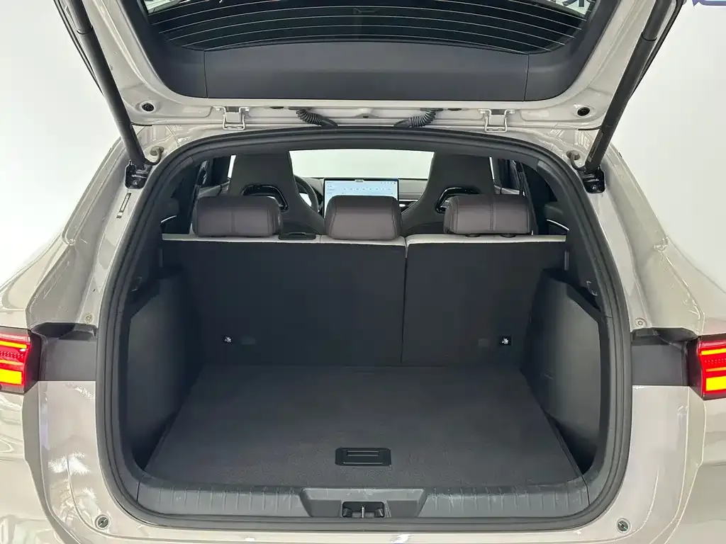 BYD PLUS New Energy 2025 из CN, фото 6