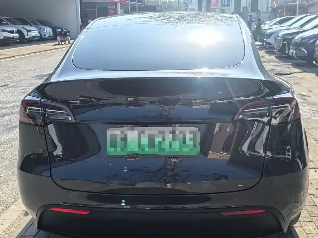 Tesla Model Y 2025 из CN, фото 6