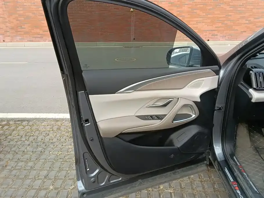 BYD Pro New Energy 2024 из CN, фото 5