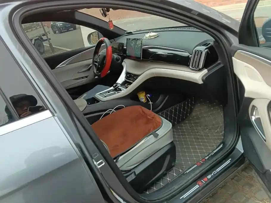 BYD Pro New Energy 2024 из CN, фото 4