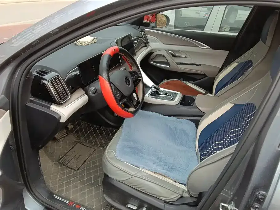 BYD Pro New Energy 2024 из CN, фото 8
