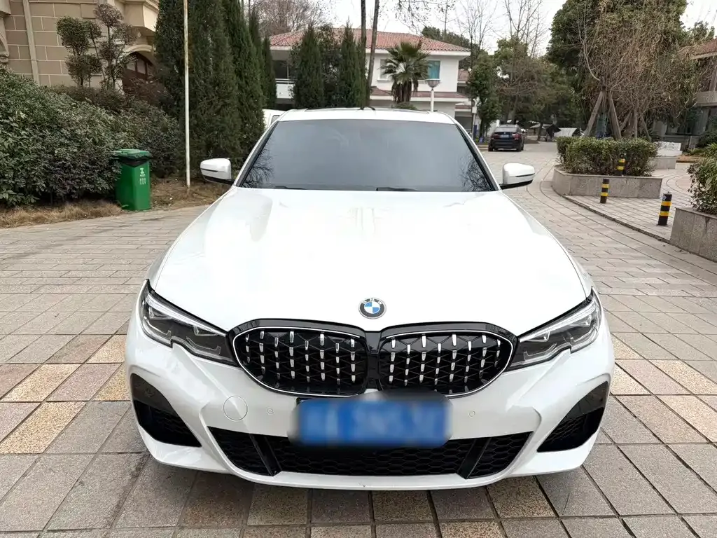 BMW 3 Series 2021 из CN, фото 9