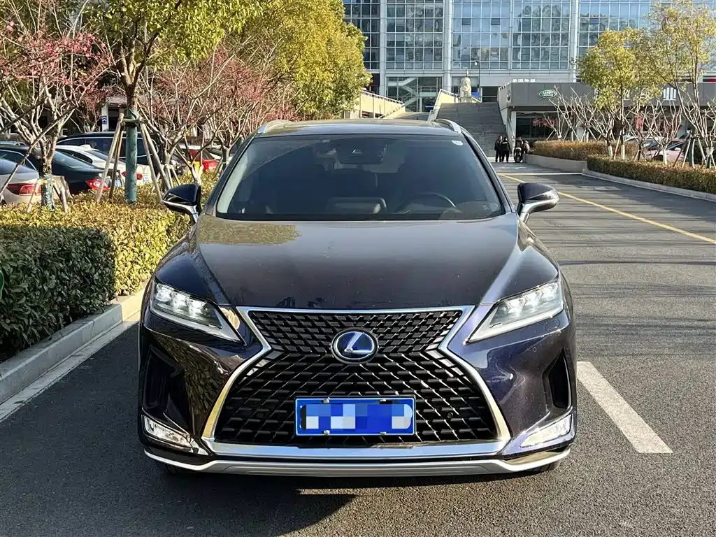 Lexus RX 2021 из CN, фото 10