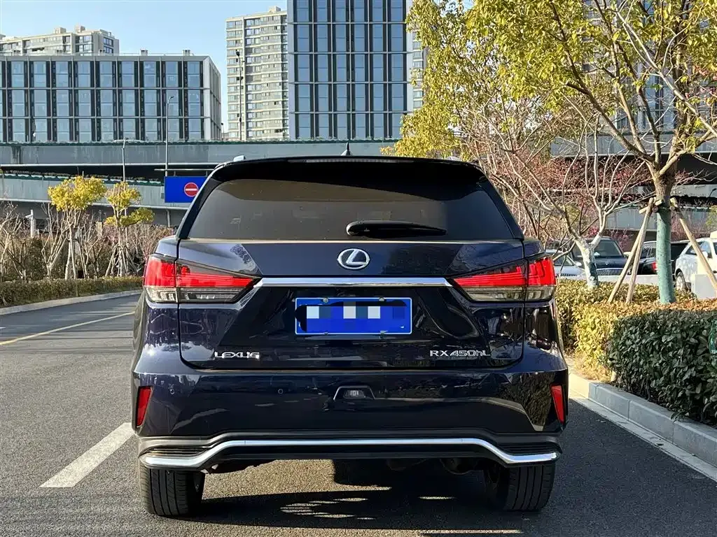 Lexus RX 2021 из CN, фото 5