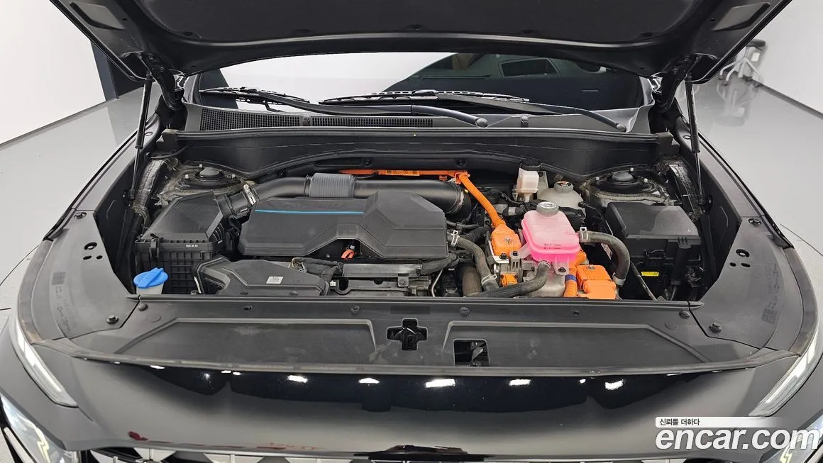 Hyundai Santafe 2022 из KR, фото 10