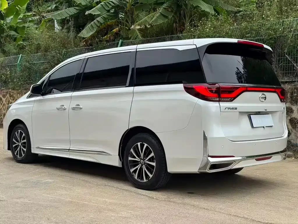 GAC Motor Trumpchi M8 2023 из CN, фото 7