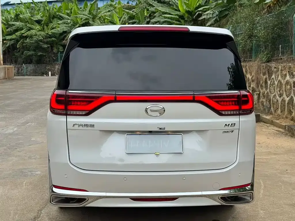 GAC Motor Trumpchi M8 2023 из CN, фото 8