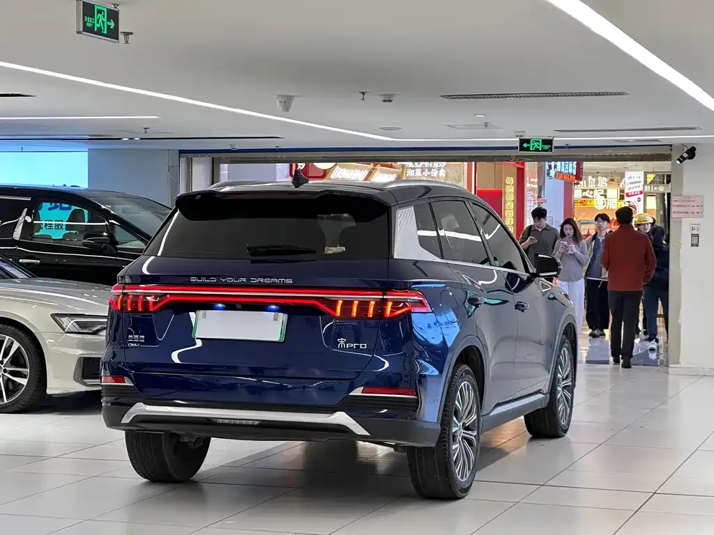 BYD Pro New Energy 2022 из CN, фото 9