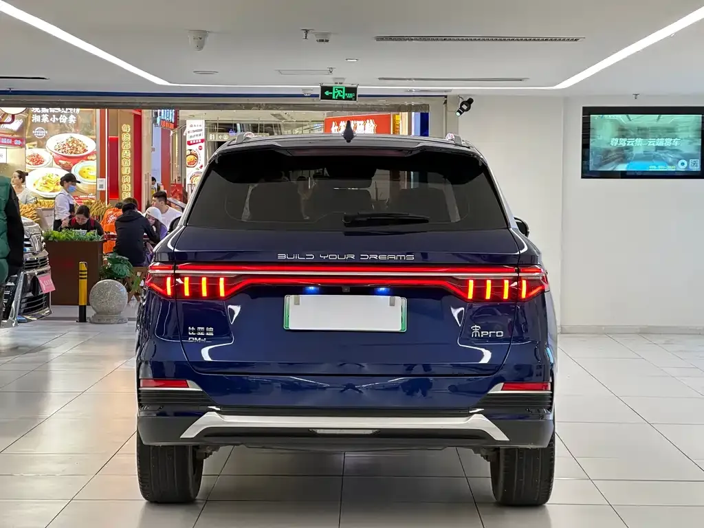 BYD Pro New Energy 2022 из CN, фото 3