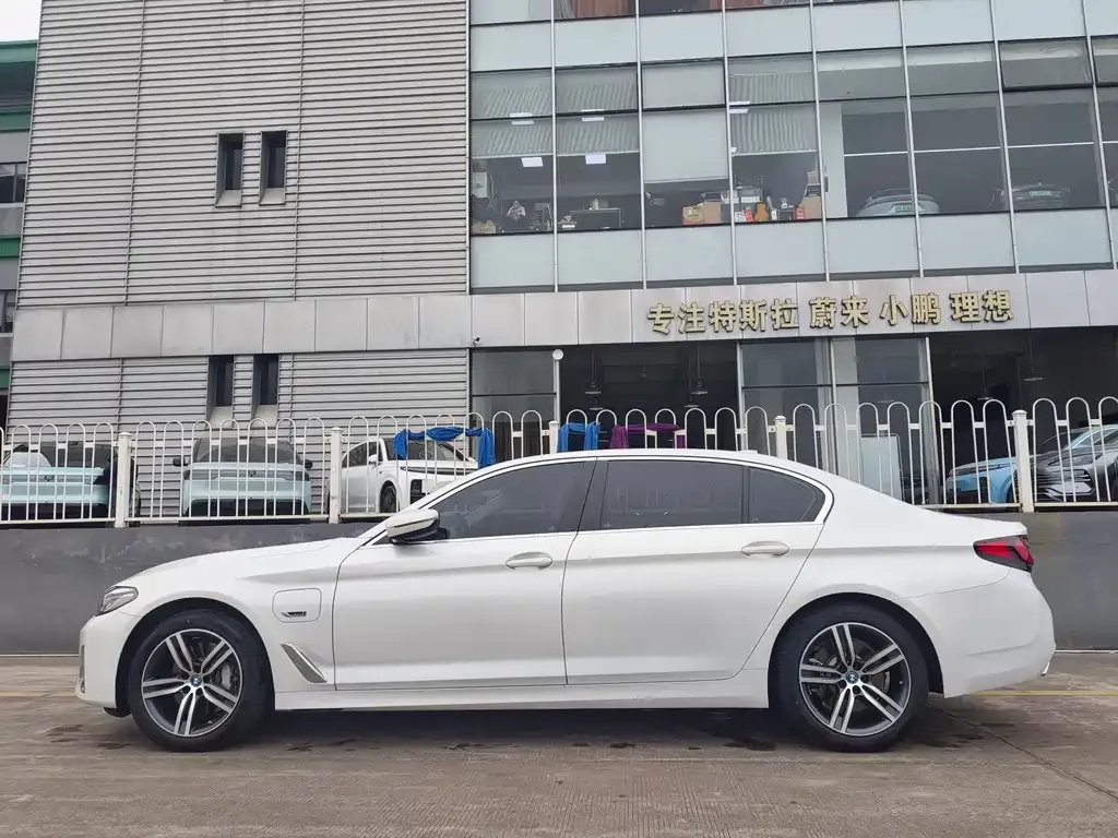 BMW 5 Series New Energy 2022 из CN, фото 9