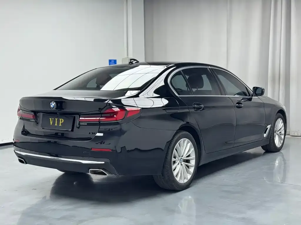 BMW 5 Series 2021 из CN, фото 5