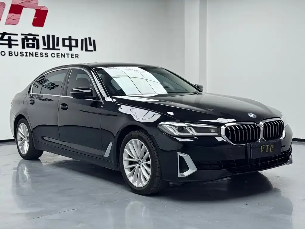 BMW 5 Series 2021 из CN, фото 4