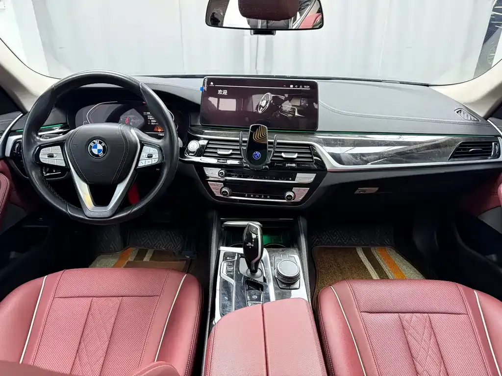 BMW 5 Series 2021 из CN, фото 10