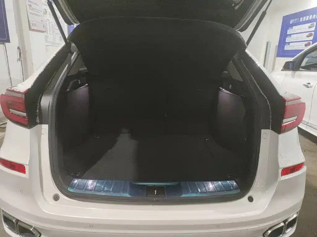 Honda Avancier 2022 из CN, фото 5