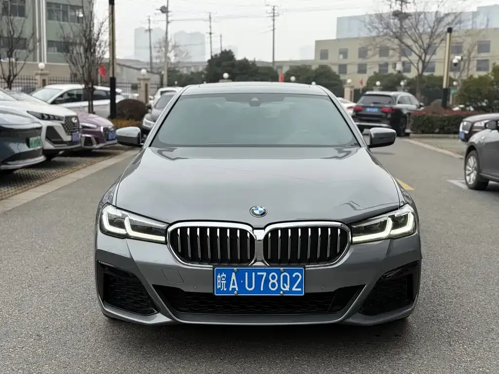 BMW 5 Series (Import) 2022 из CN, фото 6
