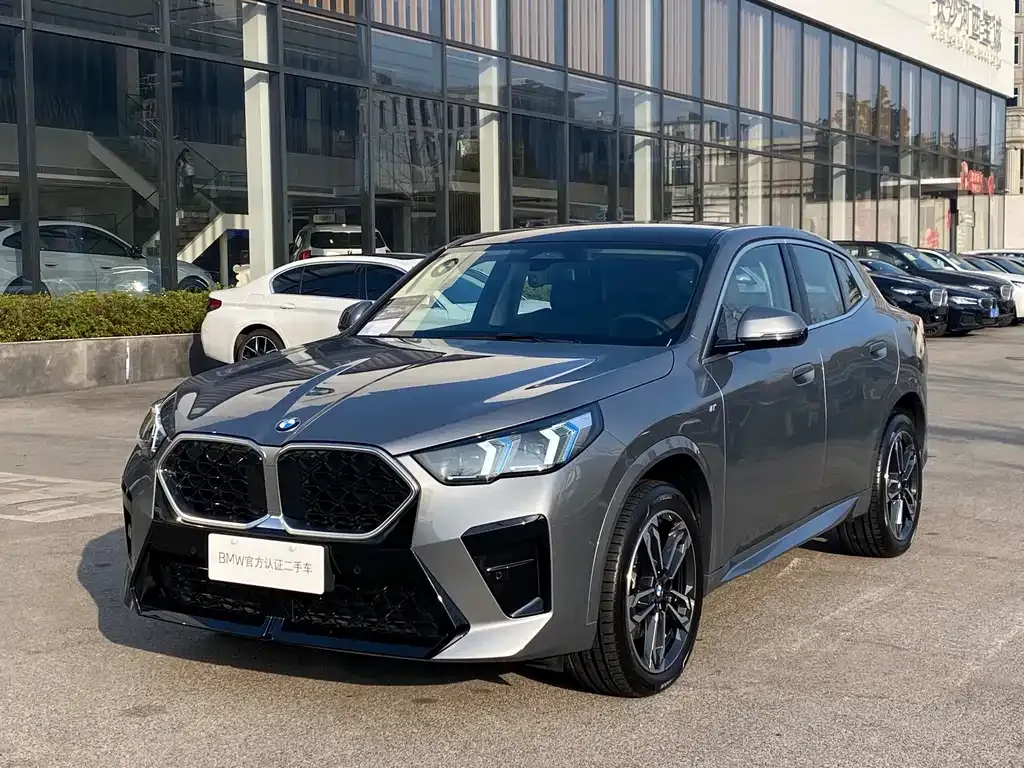 BMW X2 (Import) — фото 1