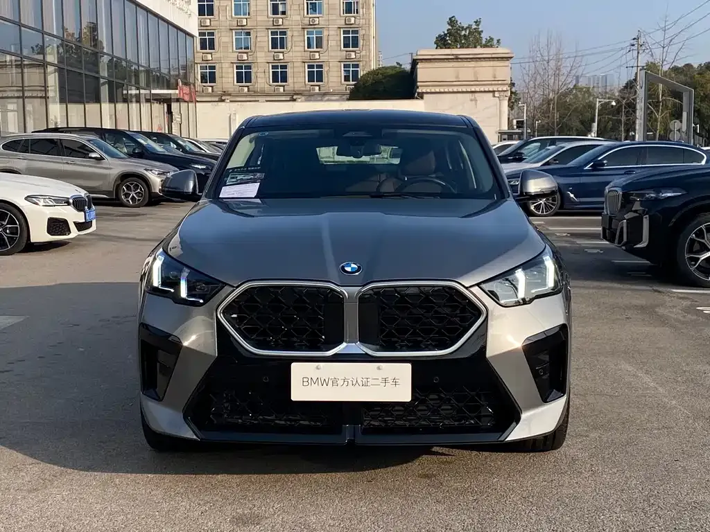 BMW X2 (Import) — фото 7