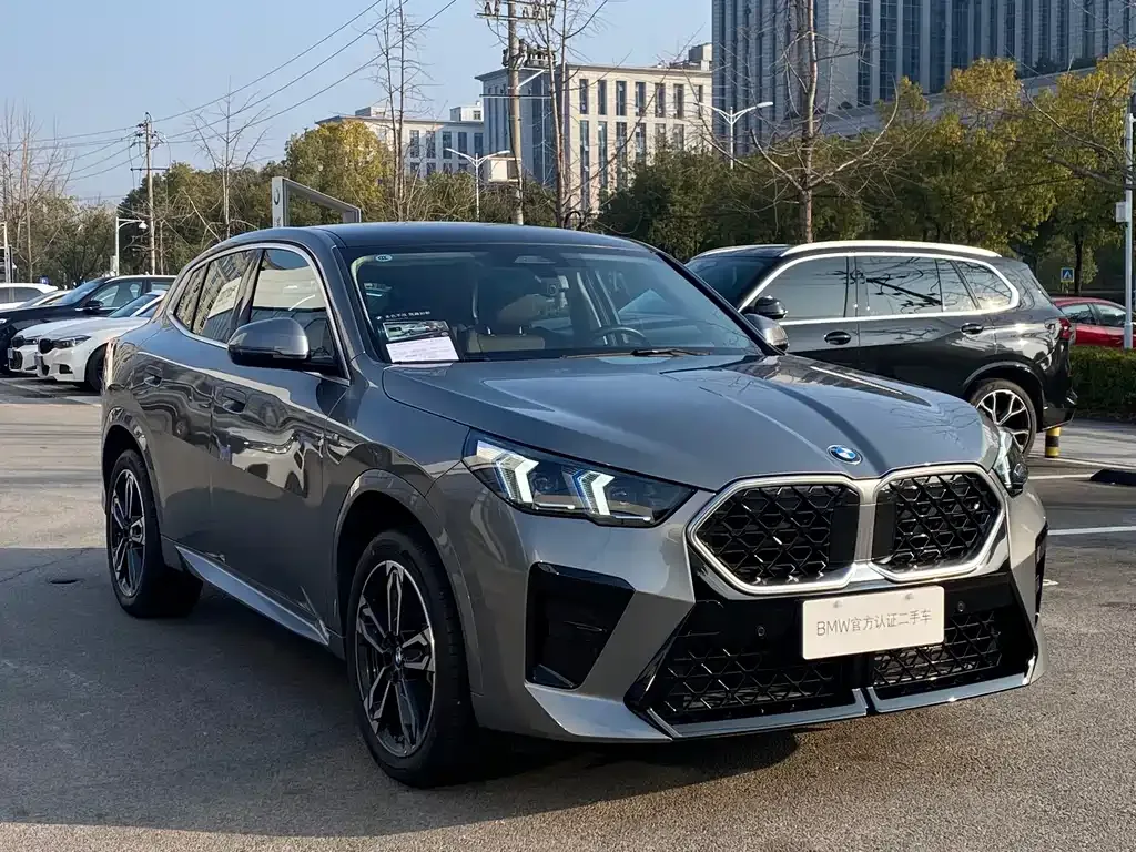 BMW X2 (Import) — фото 6