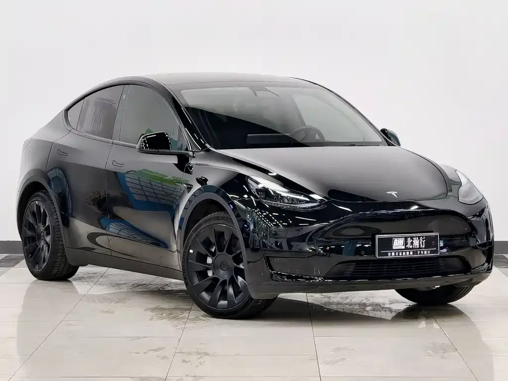 Tesla Model Y — фото 9