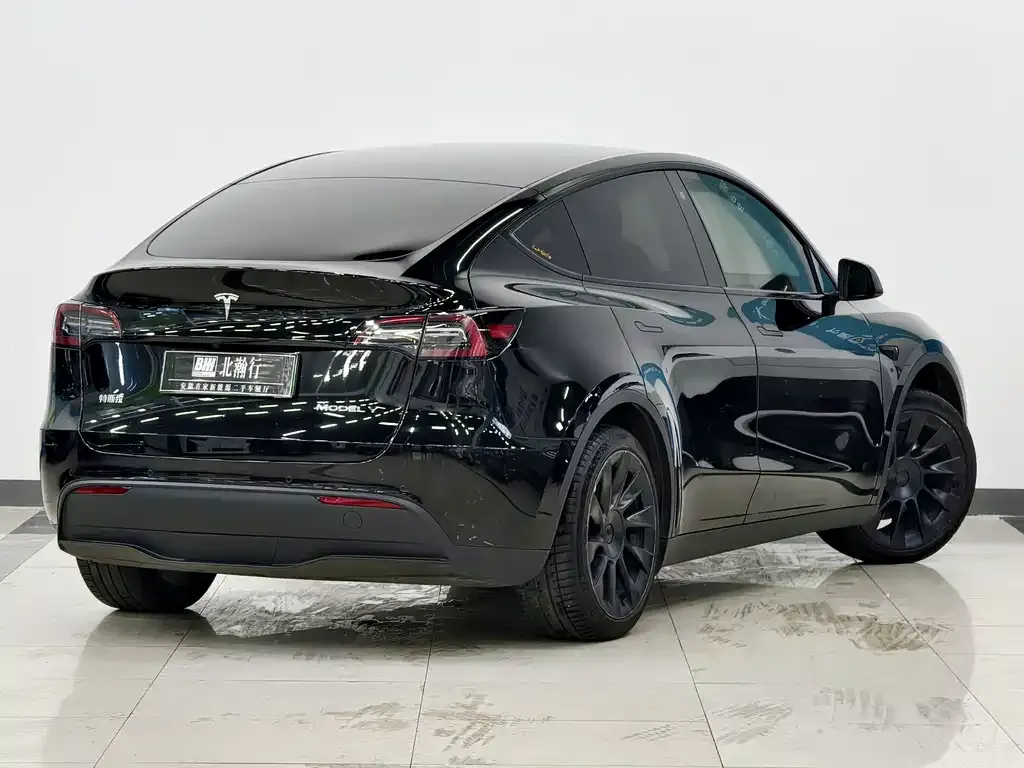Tesla Model Y — фото 10