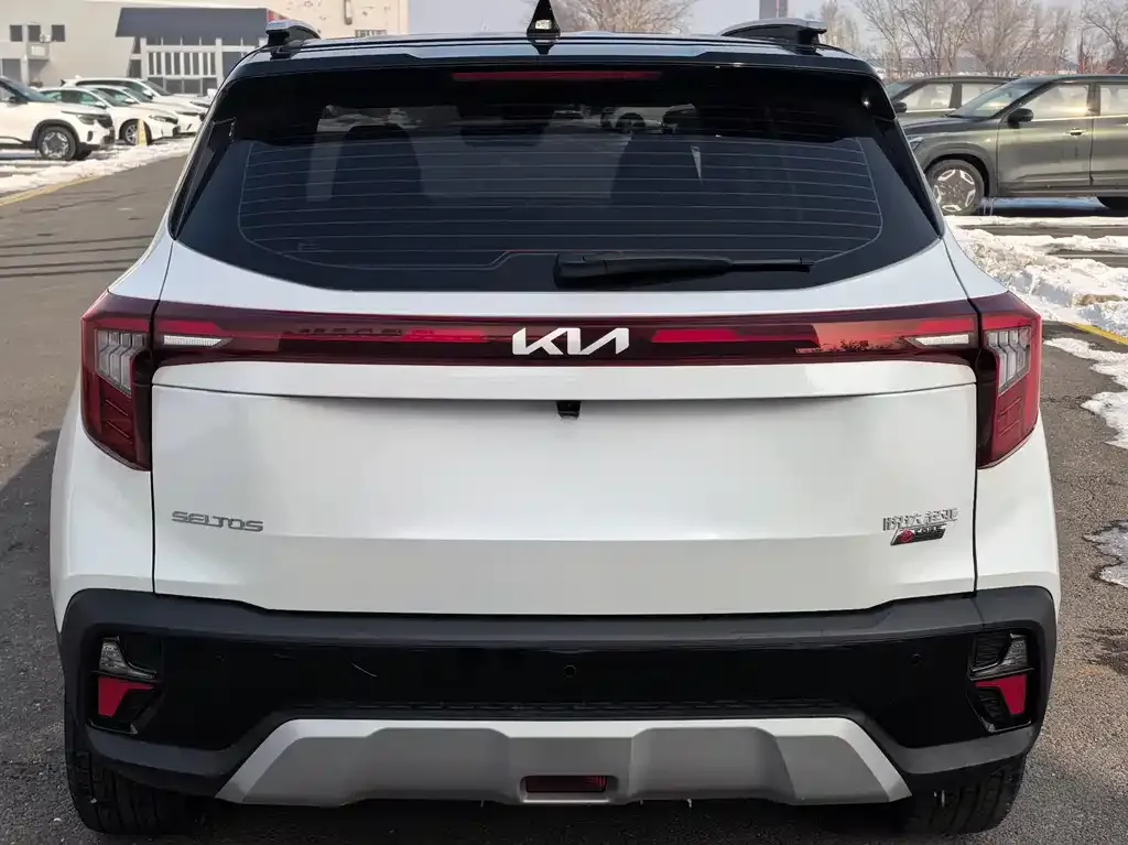 Kia Seltos 2024 из CN, фото 3