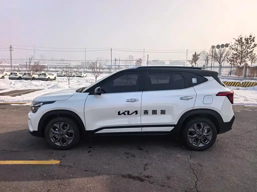 Kia Seltos 2024 из CN, фото 9