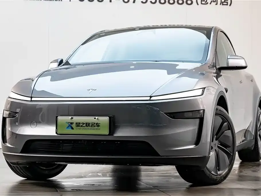 Tesla Model Y 2025 из CN, фото 9