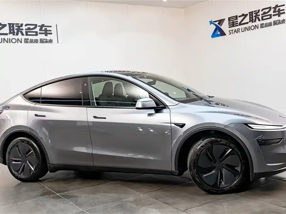 Tesla Model Y 2025 из CN, фото 2