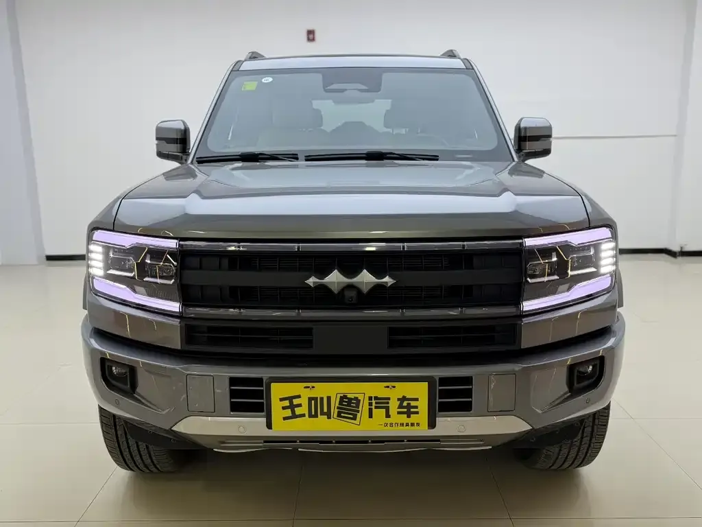 Fang Cheng Bao Leopard 5 2025 из CN, фото 4