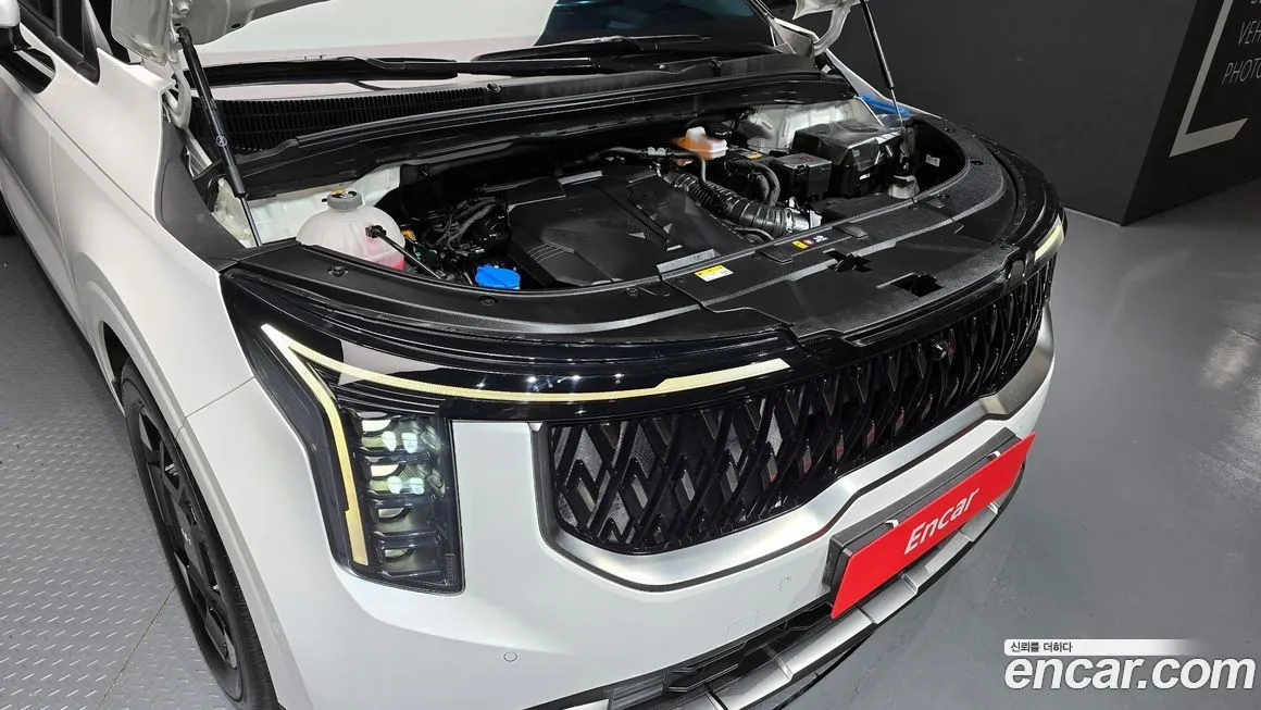Kia Carnival — фото 10