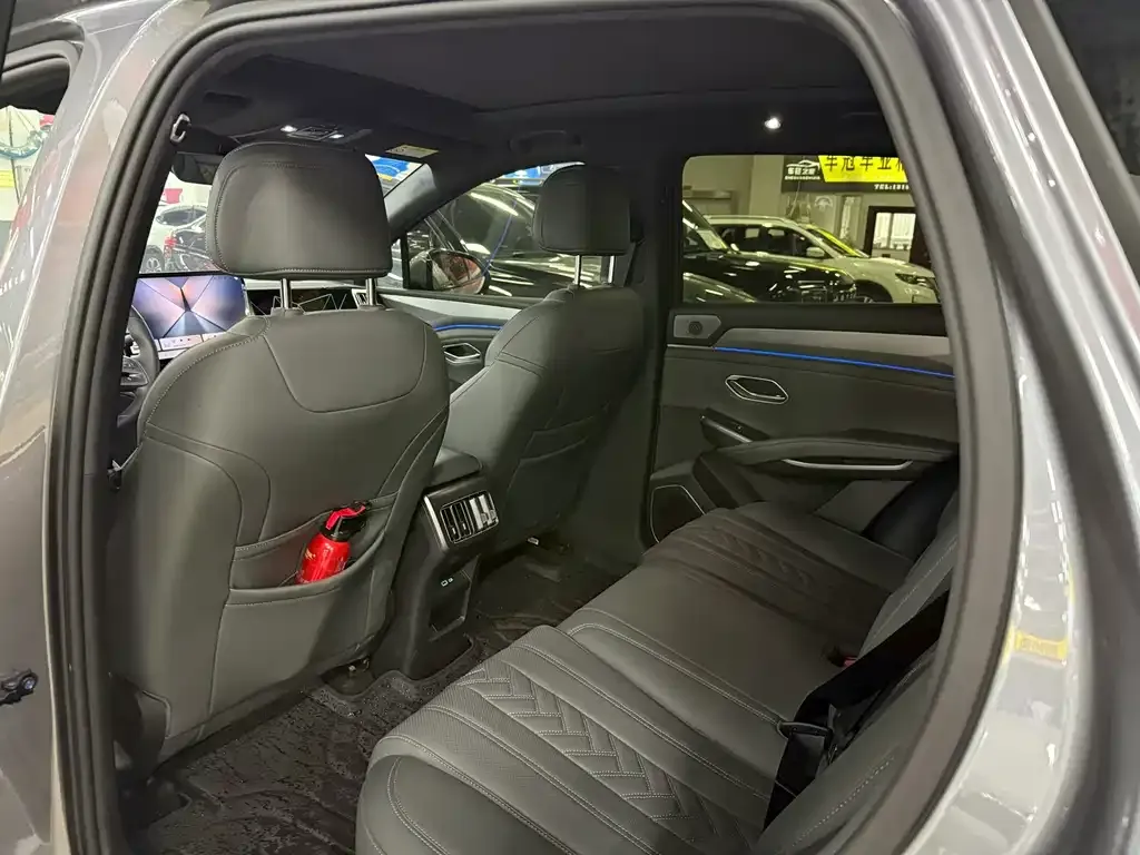 BYD L DM-i — фото 6