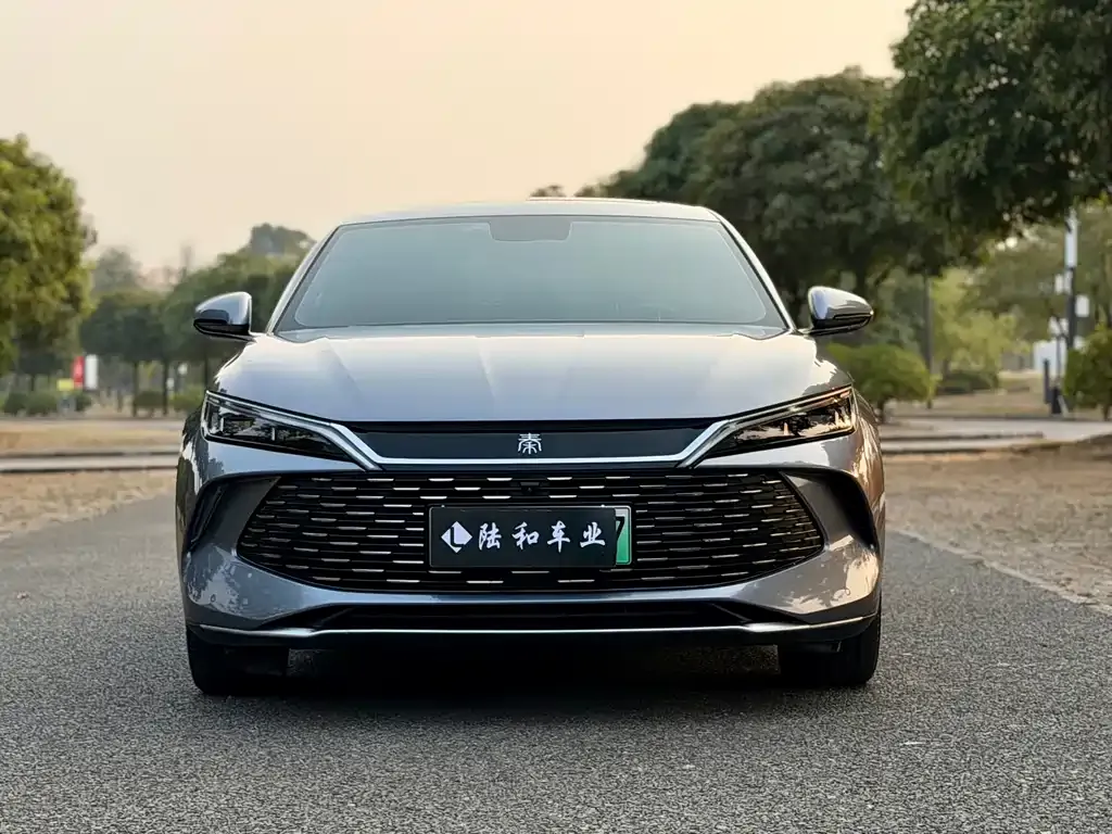 BYD Qin L — фото 4