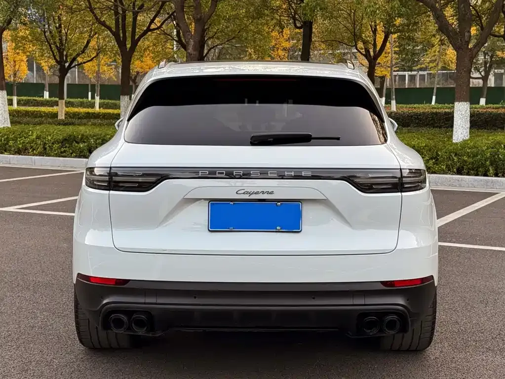 Porsche Cayenne 2023 из CN, фото 2
