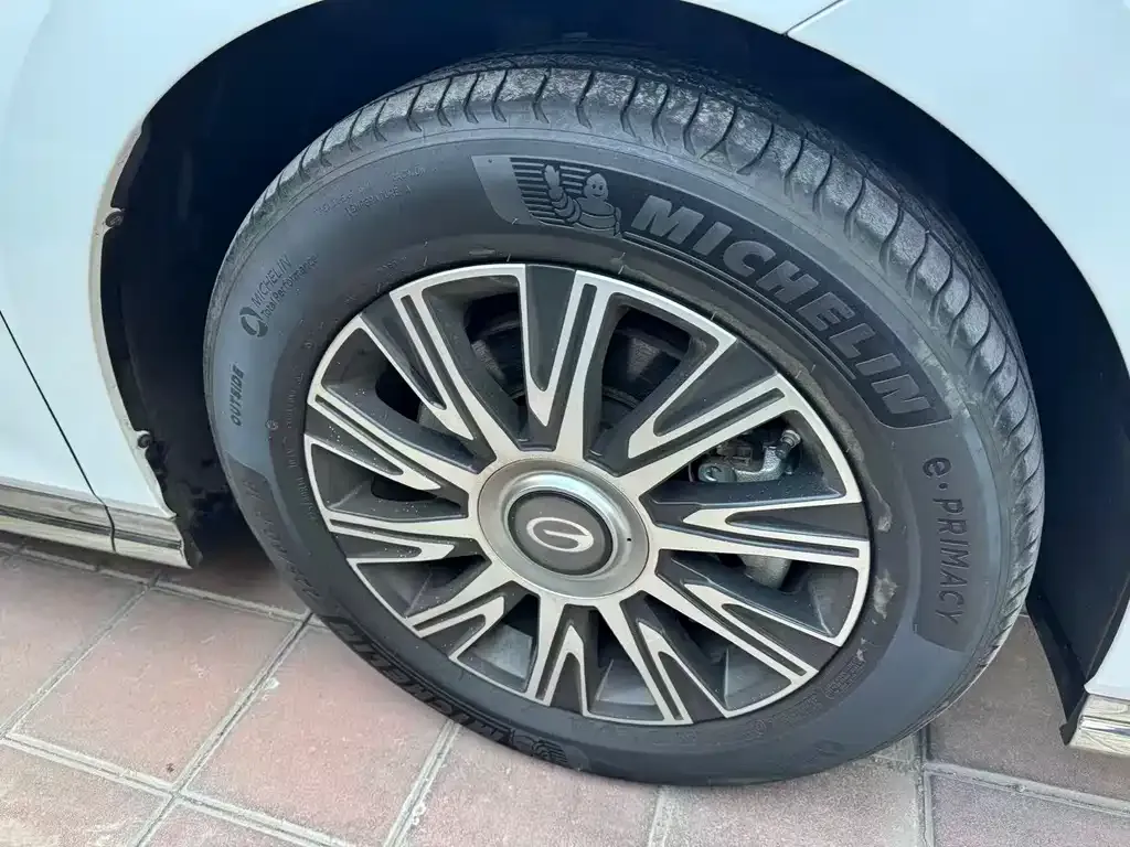 GAC Motor Trumpchi E9 2023 из CN, фото 3