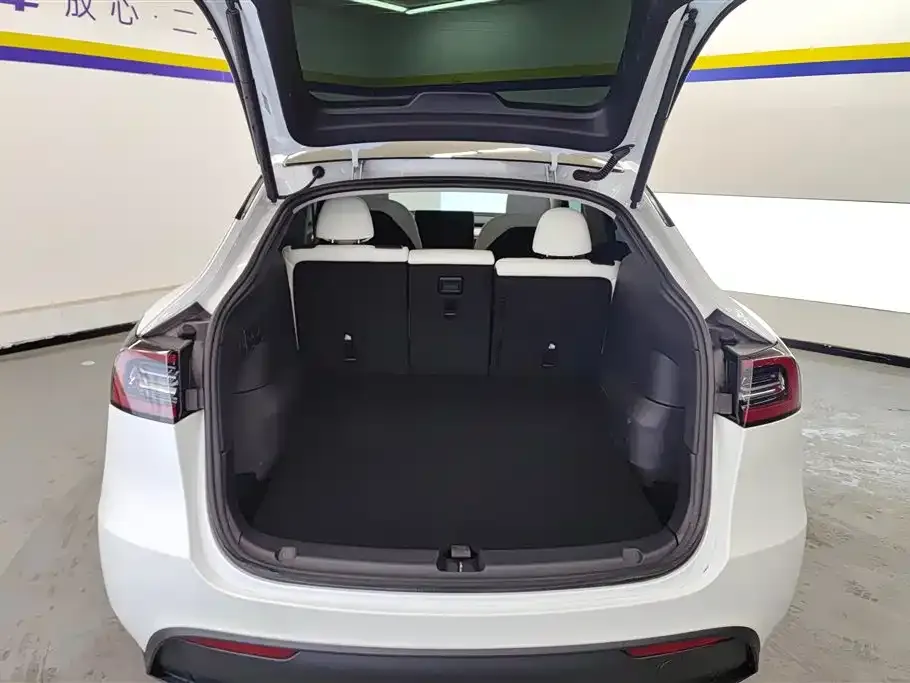 Tesla Model Y 2024 из CN, фото 2
