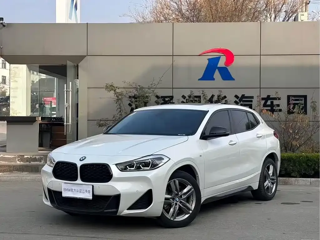BMW X2 2023 из CN, фото 1