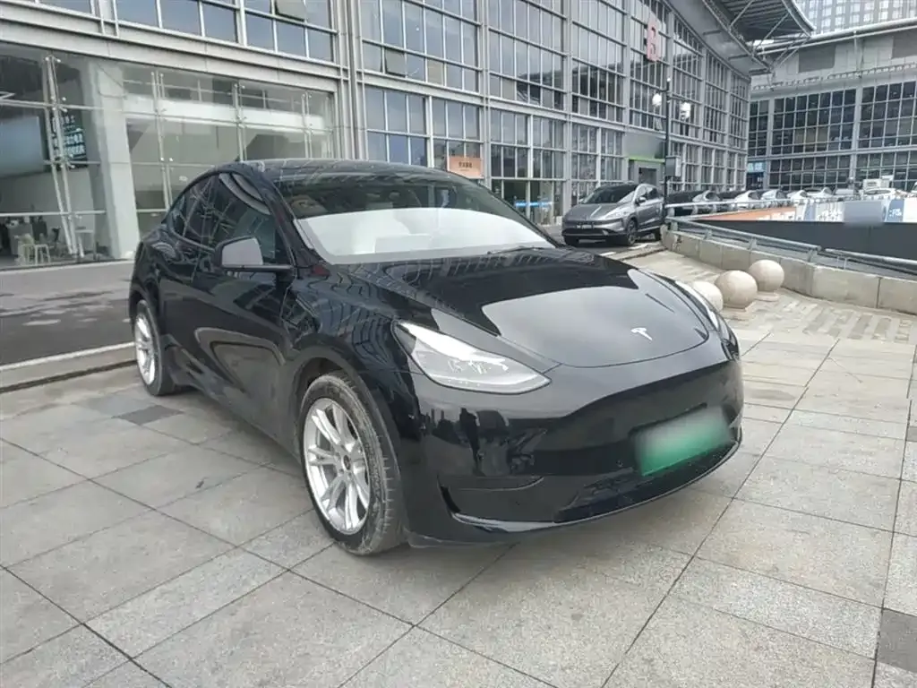 Tesla Model Y — фото 10