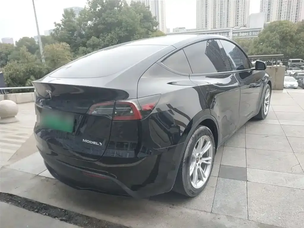 Tesla Model Y — фото 3