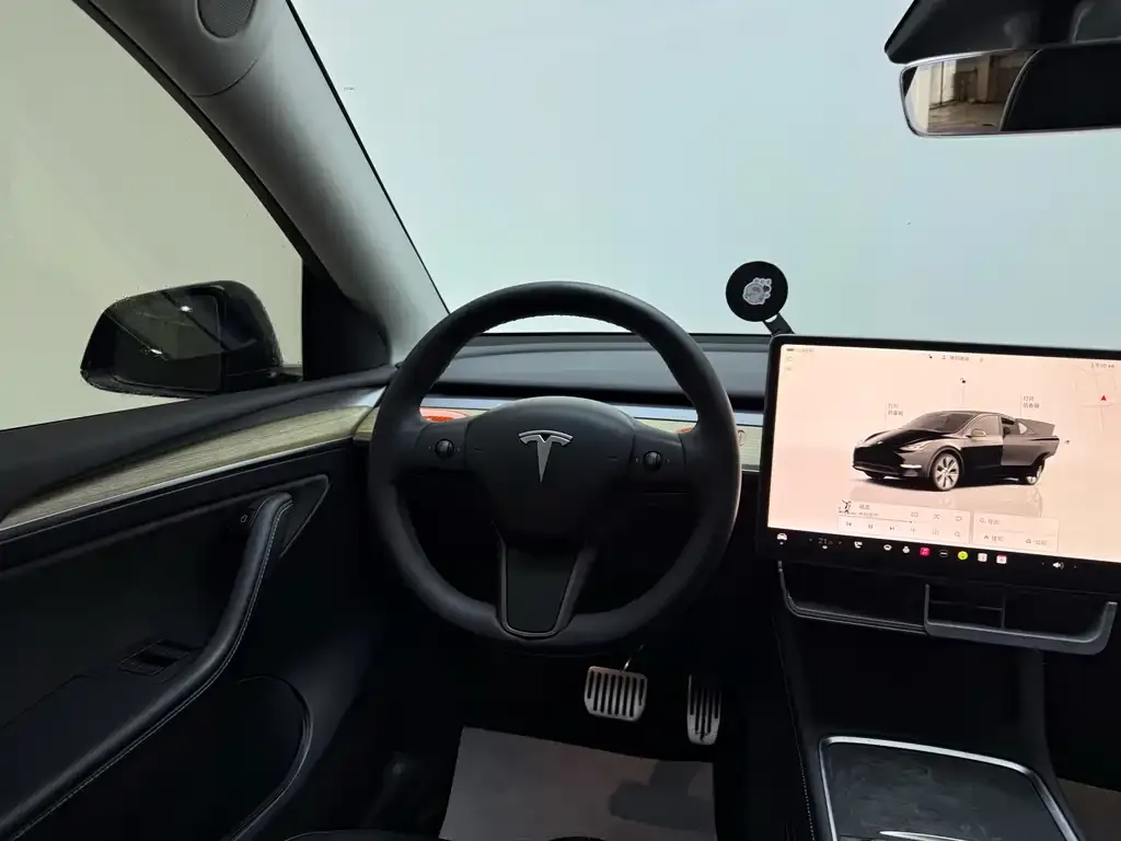 Tesla Model Y — фото 10