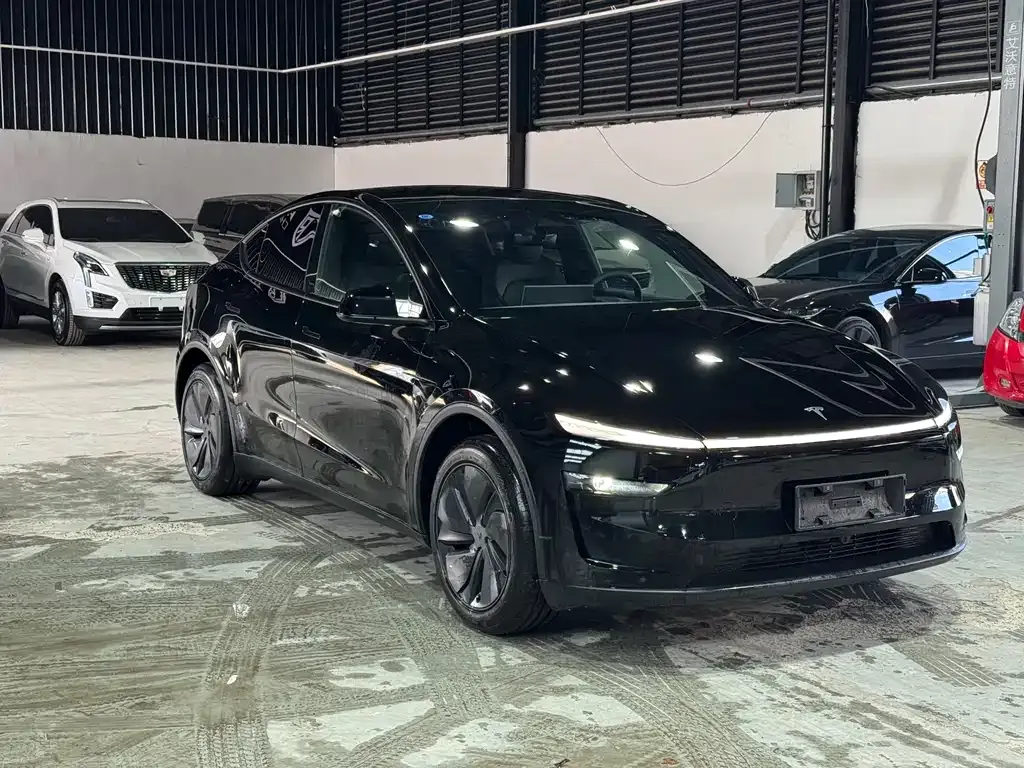 Tesla Model Y — фото 9
