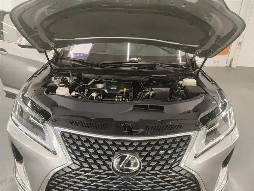 Lexus RX 2022 из CN, фото 10