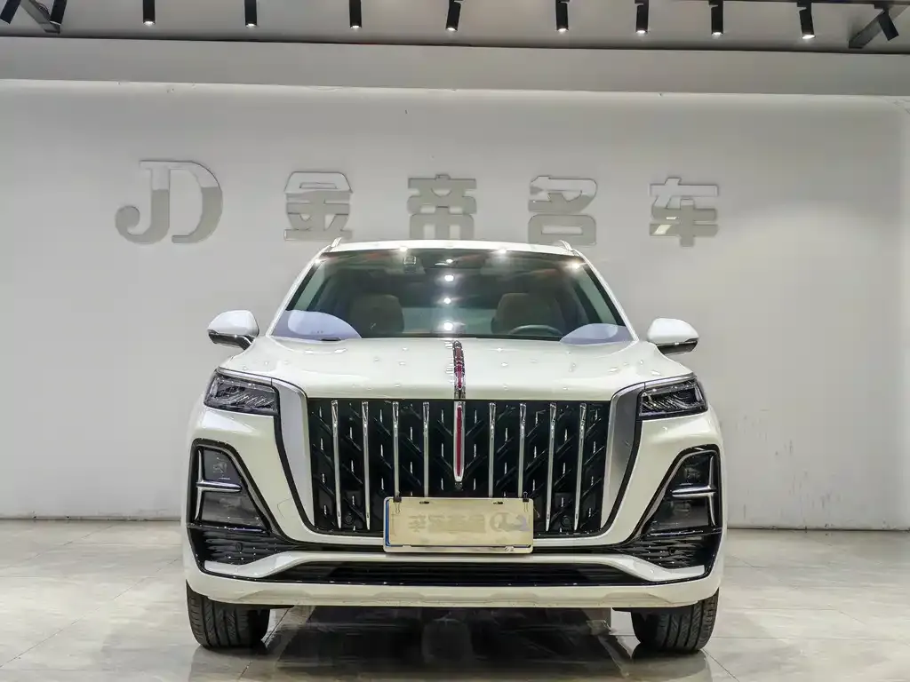 Hongqi HS5 2023 из CN, фото 2