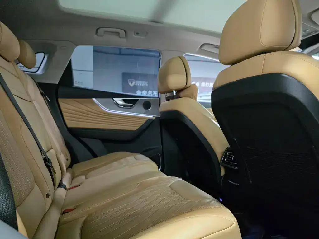 Hongqi HS5 2023 из CN, фото 6