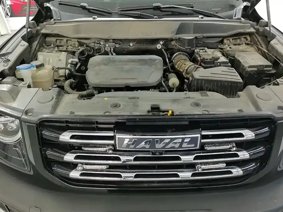 Haval Big Dog 2023 из CN, фото 6