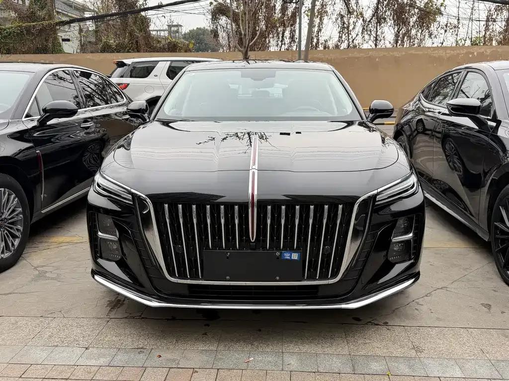 Hongqi H5 2025 из CN, фото 4
