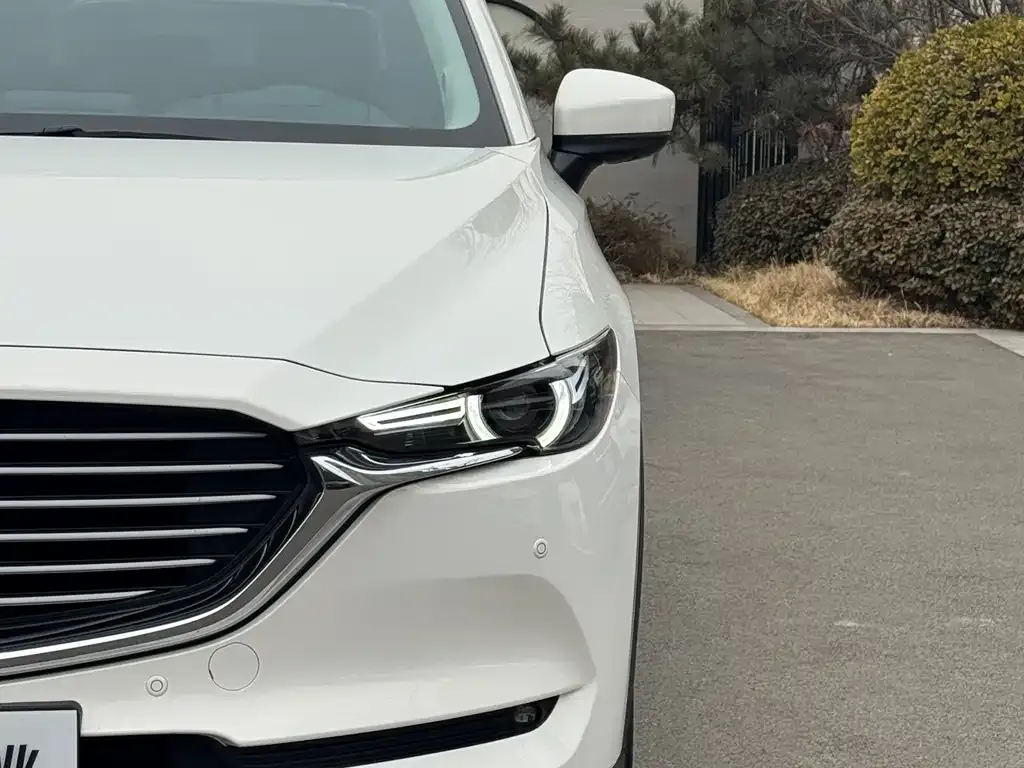 Mazda CX-8 2021 из CN, фото 7