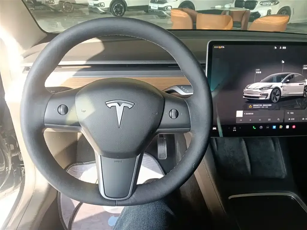Tesla Model 3 — фото 6