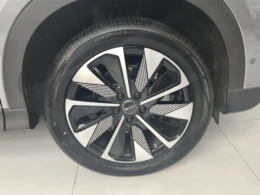 BYD PLUS New Energy 2025 из CN, фото 7