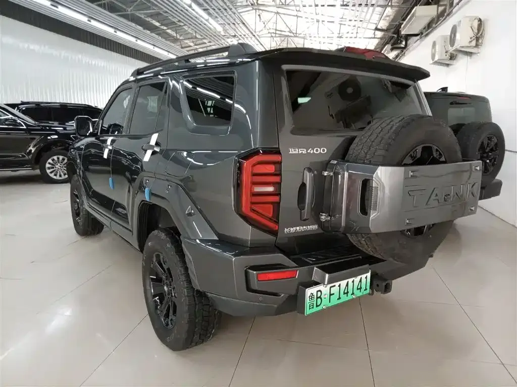 Tank 400 New Energy 2023 из CN, фото 8